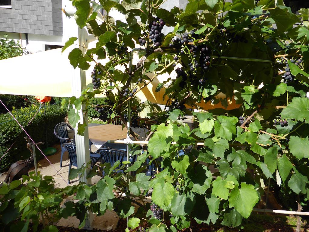 Hotel Leitgebhof Ίνσμπρουκ Εξωτερικό φωτογραφία